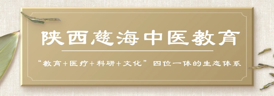陕西慈海中医教育