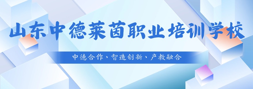 山东中德莱茵职业培训学校