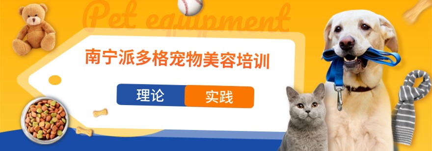 南宁派多格宠物美容培训