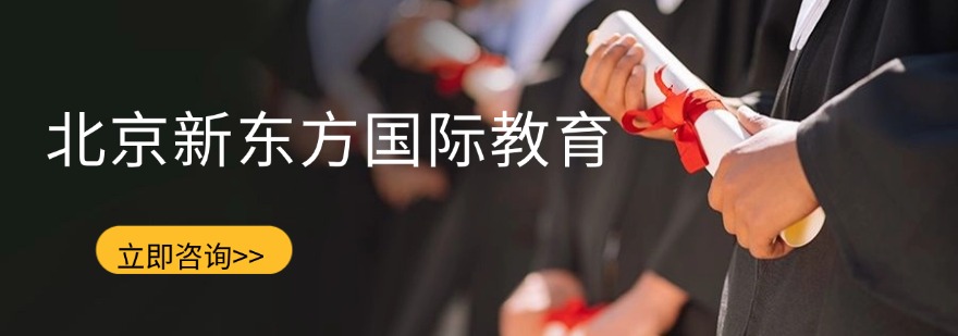 北京新东方国际教育