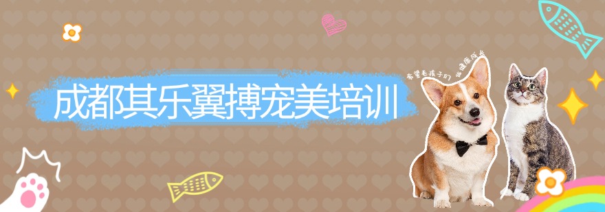 成都其乐翼搏宠美培训