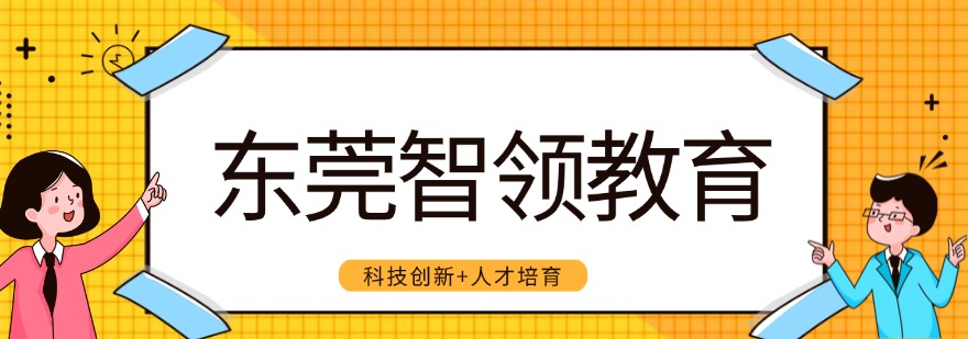 东莞智领教育