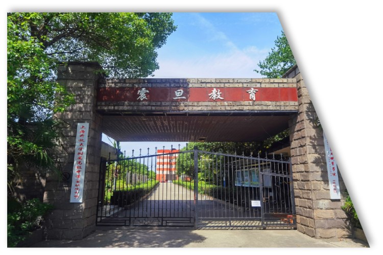 上海震职附高学员高分上岸一览