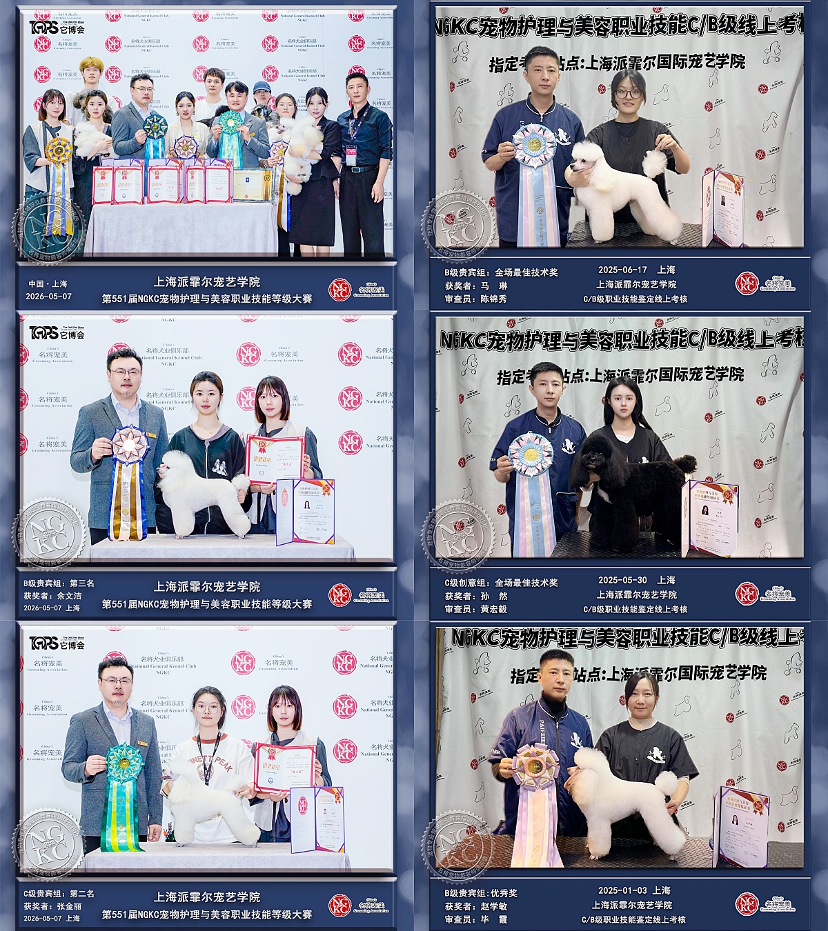 上海派霏尔宠物美容培训学员成就一览