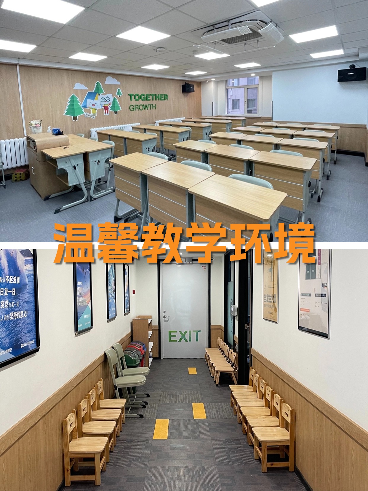 哈尔滨新东方小学全科培训课程火热报名中！