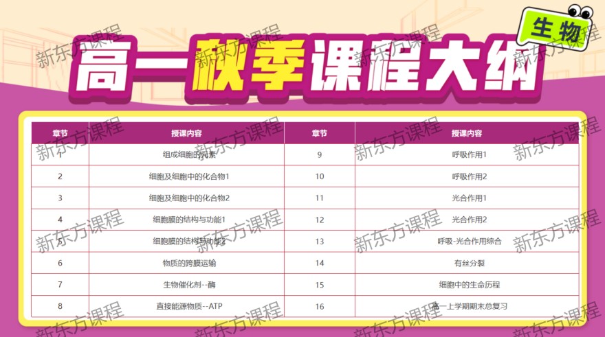 广州omo秋季班线上课(高一)