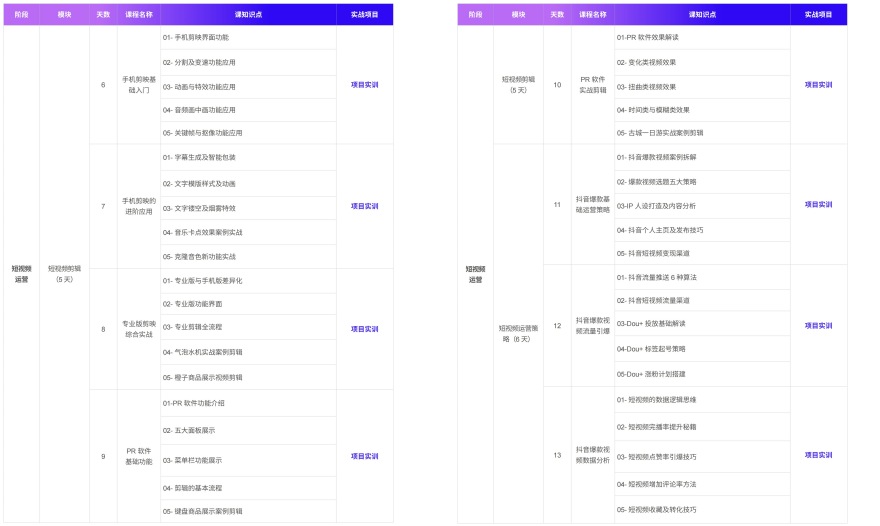 新媒体短视频+直播电商运营
