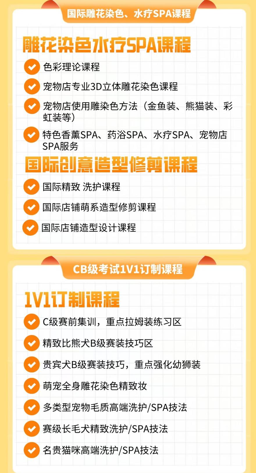 派多格C+B级宠物美容精英课