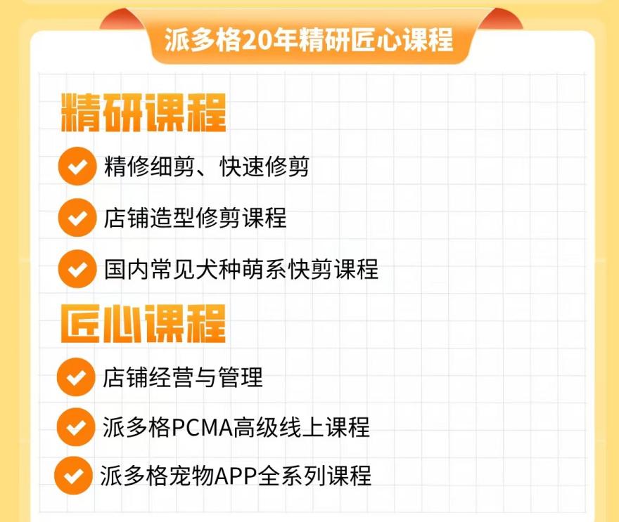 派多格C+B级宠物美容精英课