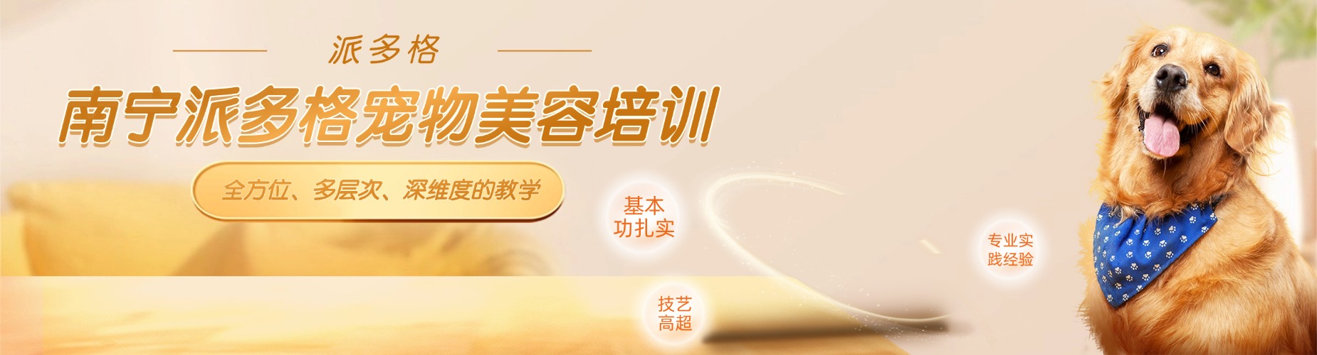 南宁派多格宠物美容培训