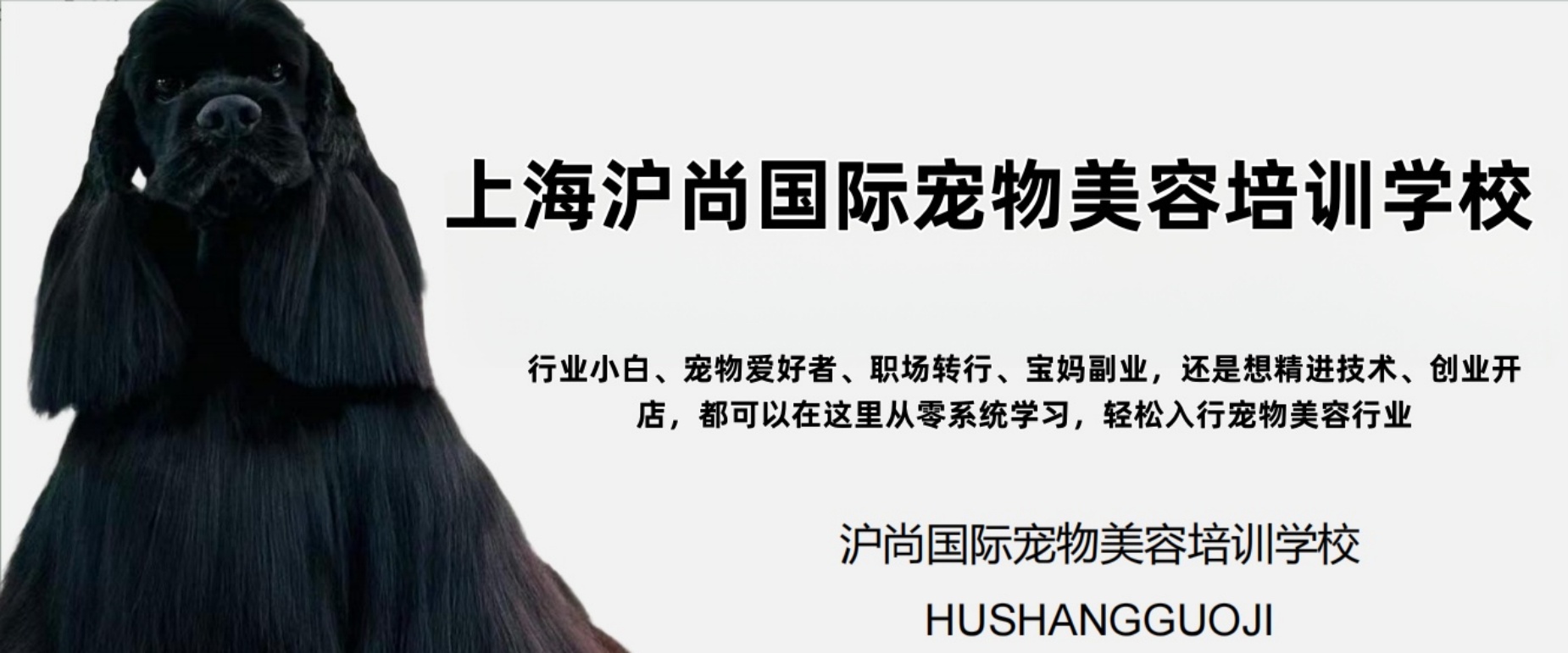 上海沪尚国际宠物美容培训学校