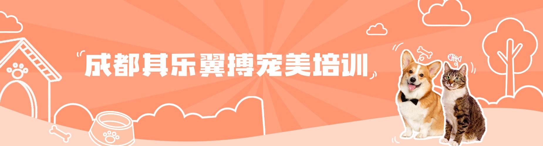 成都其乐翼搏宠美培训