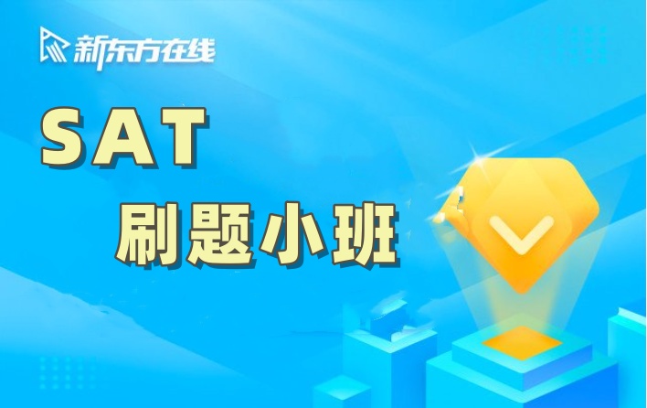 SAT刷题培训课程-一对一培训小班-南京新东方国际教育