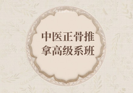 中医正骨推拿高级系统班