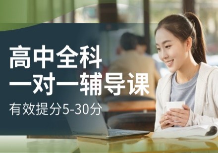高中全科一对一辅导课程​