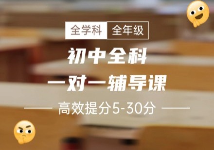 初中一对一辅导课程​