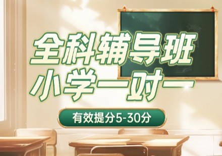 小学一对一辅导课程​