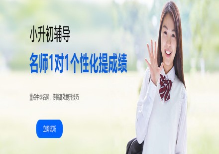 小升初一对一辅导课