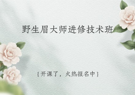 野生眉大师进修技术班