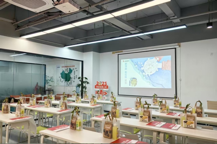 199管综培训课程