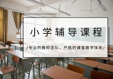 重庆小学辅导课程