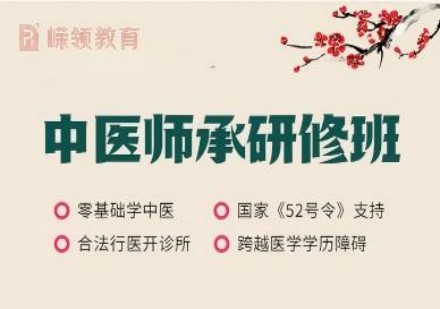 中医师承培训课程