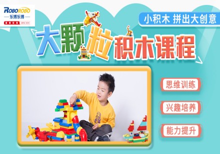大颗粒电子积木课程