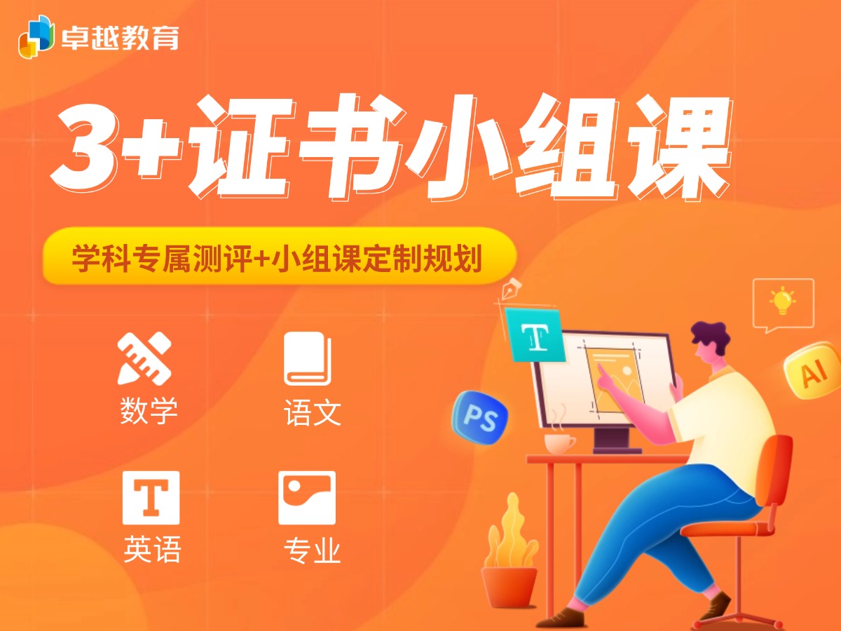 卓越3+证书小组课