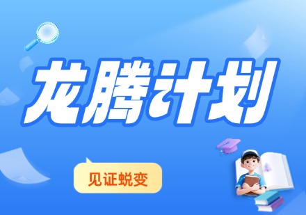 VIP龙腾计划zheng治全程班