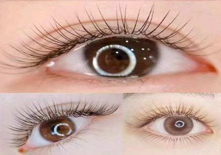 美睫全科班课程