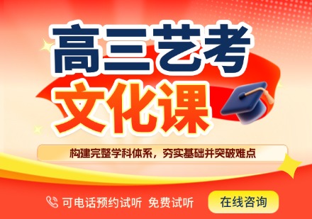 高三艺考文化课