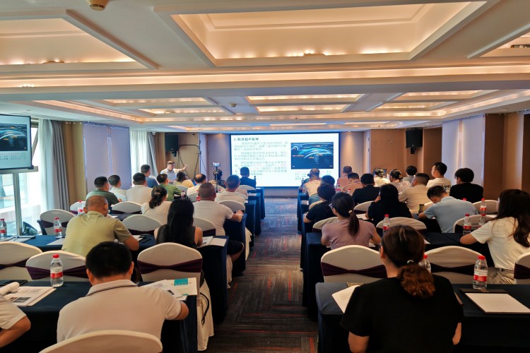 壮医特色针挑术（羊毛疔截根疗法）规范化操作与临床实战研修班