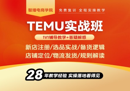 TEMU实战班