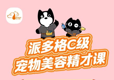 派多格C级宠物美容精才课