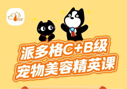 派多格C+B级宠物美容精英课