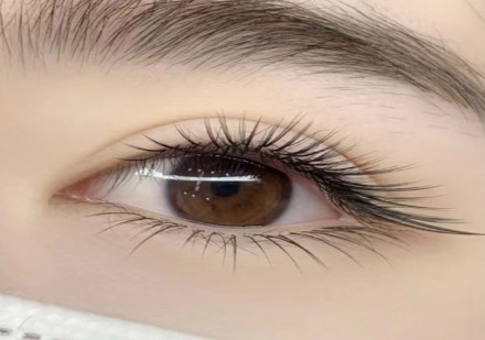 美睫定制班课程