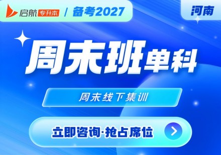 河南2027周末班单科