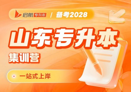 山东2028集训营