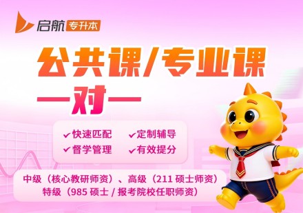 山东2027一对一课程