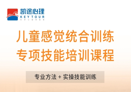 儿童感觉统合训练专项技能培训课程