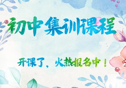 初中集训课程