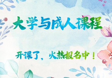 大学与成人课程