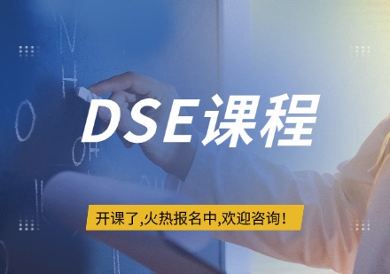 DSE课程