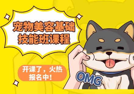宠物美容基础技能班课程