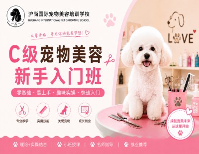 C级新手入门班