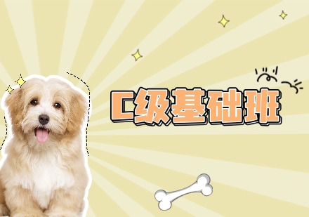 C级基础班