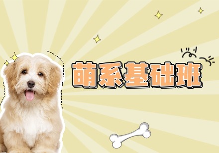 萌系基础班
