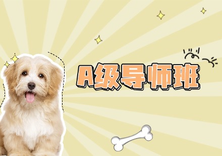 A级导师班