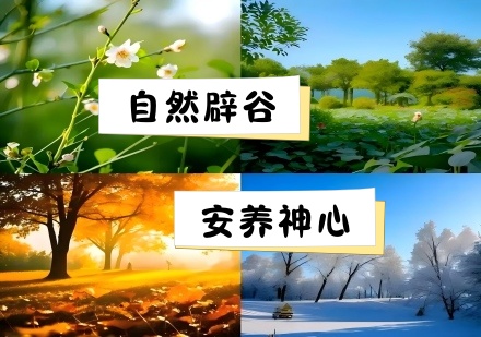 四季实修-节气养生-身心共育