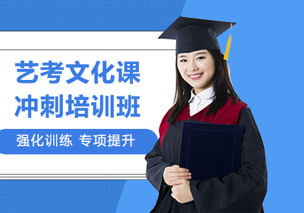 艺考文化课冲刺培训课程